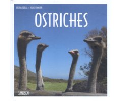 OSTRICHES