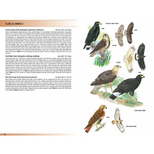 HELM FIELD GUIDES. BIRDS OF TRINIDAD AND TOBAGO 3