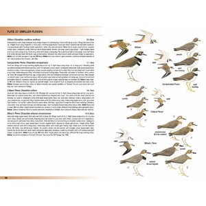 HELM FIELD GUIDES. BIRDS OF TRINIDAD AND TOBAGO 4