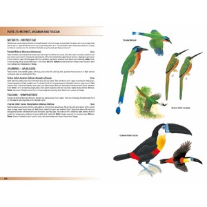 HELM FIELD GUIDES. BIRDS OF TRINIDAD AND TOBAGO 5