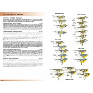 HELM FIELD GUIDES. BIRDS OF TRINIDAD AND TOBAGO 6