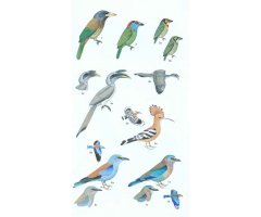 HELM FIELD GUIDE TO THE BIRDS OF PAKISTAN 5