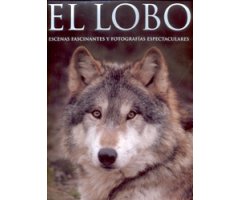 EL LOBO. ESCENAS FASCINANTES Y FOTOGRAFÍAS ESPECTACULARES