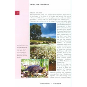 CROSSBILL GUIDES. EXTREMADURA_1