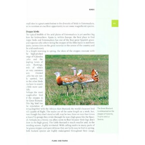 CROSSBILL GUIDES. EXTREMADURA 4