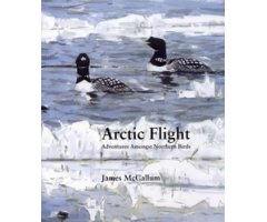 ARCTIC FLIGHT ADVENTURES AMONGST NORTHERN BIRDS