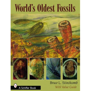 WORLD'S OLDEST FOSSILS