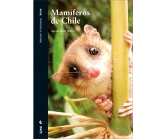 MAMÍFEROS DE CHILE