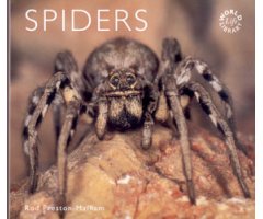 SPIDERS