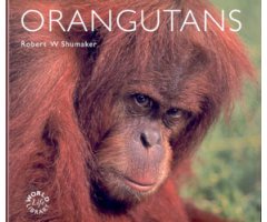 ORANGUTANS