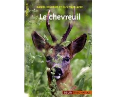 LE CHEVREUIL 2