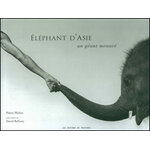 ÉLÉPHANT D'ASIE. UN GÉANT MENACÉ
