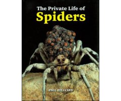 THE PRIVATE LIFE OF SPIDERS  