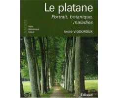 LE PLATANE. PORTRAIT, BOTANIQUE, MALADIES