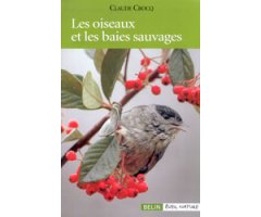 LES OISEAUX ET LES BAIES SAUVAGES