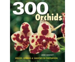 ORCHIDS  300. SPECIES, HYBRIDS & VARIETIES IN CULTIVATION