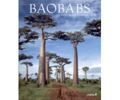 BAOBABS   