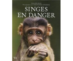 SINGES EN DANGER