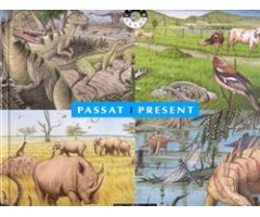 PASSAT I PRESENT
