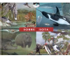 SOBRE I SOTA
