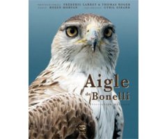 AIGLE DE BONELLI. MEDITERRANEEN MECONNU     
