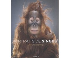 PORTRAITS DES SINGES