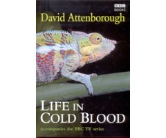 LIFE IN COLD BLOOD  