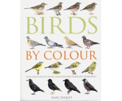 BIRDS BY COLOUR