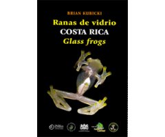 RANAS DE VIDRIO DE COSTA RICA