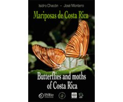 MARIPOSAS DE COSTA RICA