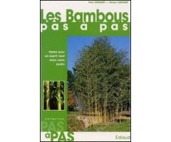 LES BAMBOUS PAS À PAS