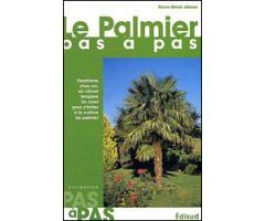 LE PALMIER PAS À PAS