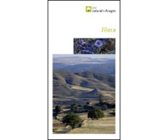 JILOCA