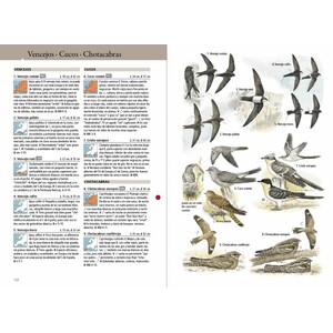 AVES DE EUROPA. TODAS LAS AVES EUROPEAS EN 1800 ILUSTRACIONES_1