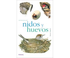 NIDOS Y HUEVOS