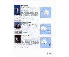 PENGUINS OF THE WORLD 4