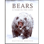 BEARS A YEAR IN THE LIFE