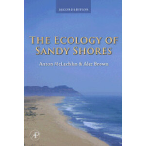 THE ECOLOGY OF SANDY SHORES