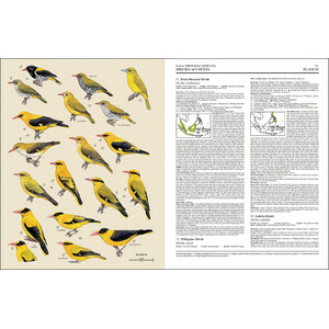 HANDBOOK OF THE BIRDS OF THE WORLD, VOL. 13. PENDULINE-TITS TO SHRIKES 4