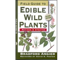 FIELD GUIDE TO EDIBLE WILD PLANTS 