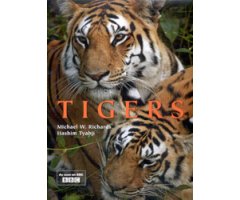 TIGERS