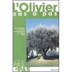 L'OLIVIER PAS A PAS