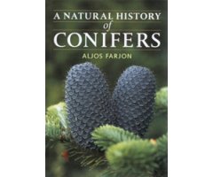  A NATURAL HISTORY OF CONIFERS