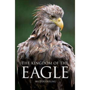 THE KINGDOM OF THE EAGLE