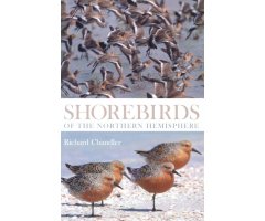 SHOREBIRDS OF THE NORTHERN HEMISPHERE