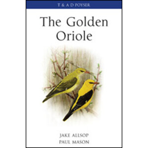 THE GOLDEN ORIOLE