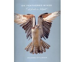 ON FEATHERED WINGS: BIRDS IN FLIGHT