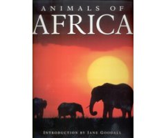 ANIMALS OF AFRICA 