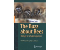 THE BUZZ ABOUT BEES. BIOLOGY OF A SUPERORGANISM