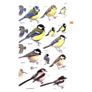 GUIDE TO GARDEN WILDLIFE_1